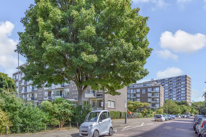 Foto 46 van Narcislaan 323