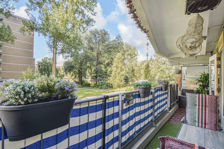 Photo 3 of Belvédèrebos 6