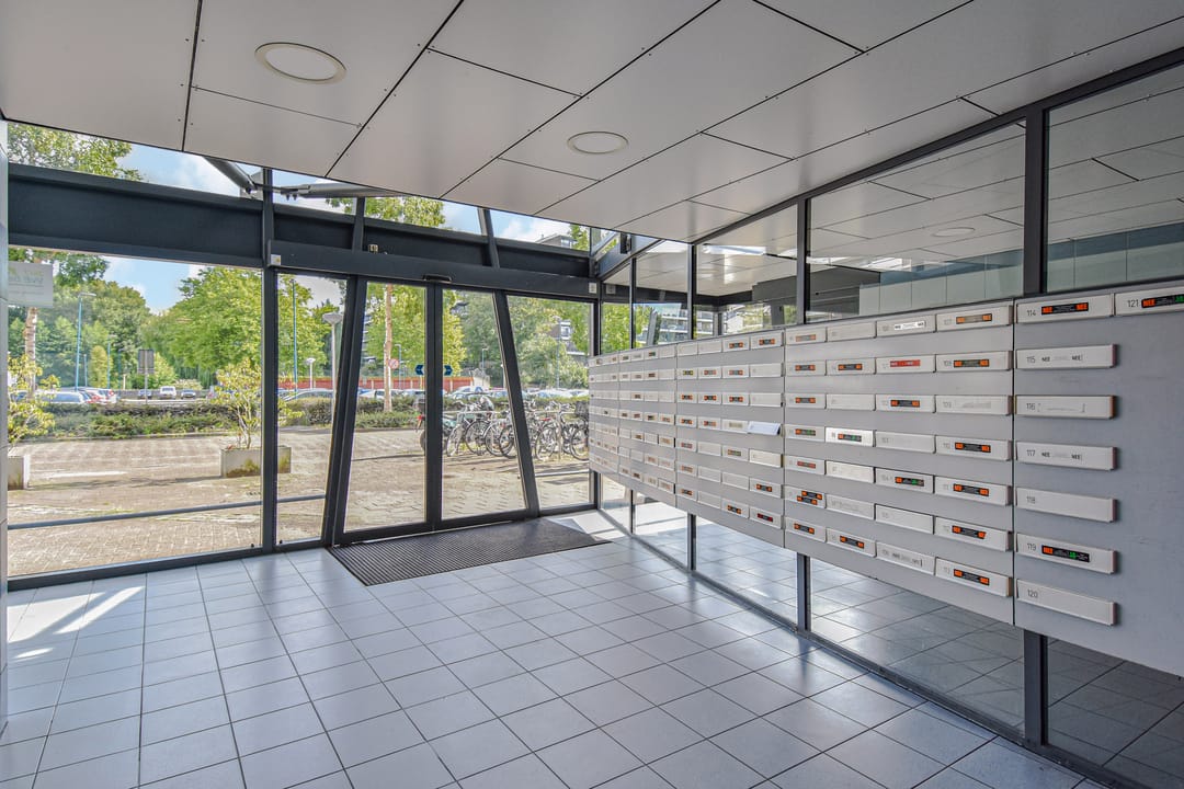 Photo 7 of Belvédèrebos 6