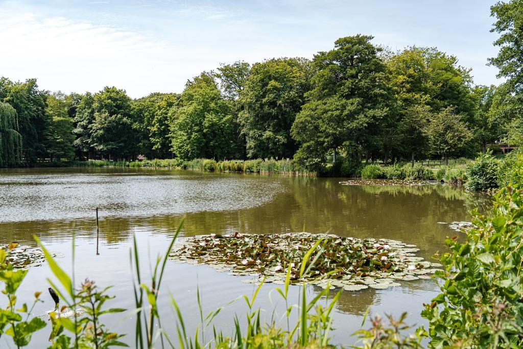 Photo 76 of Nanningh Cloecklaan 14