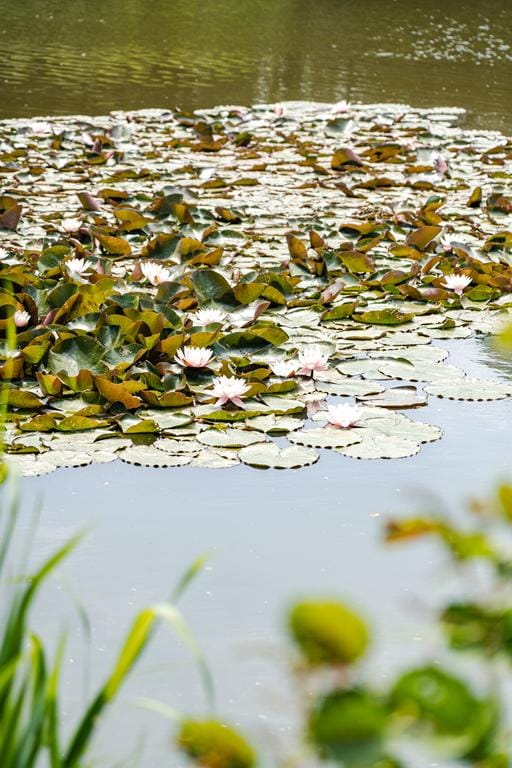 Foto 78 van Nanningh Cloecklaan 14