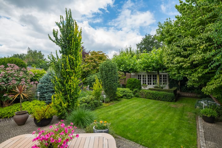 Foto 2 van Gentiaan 6