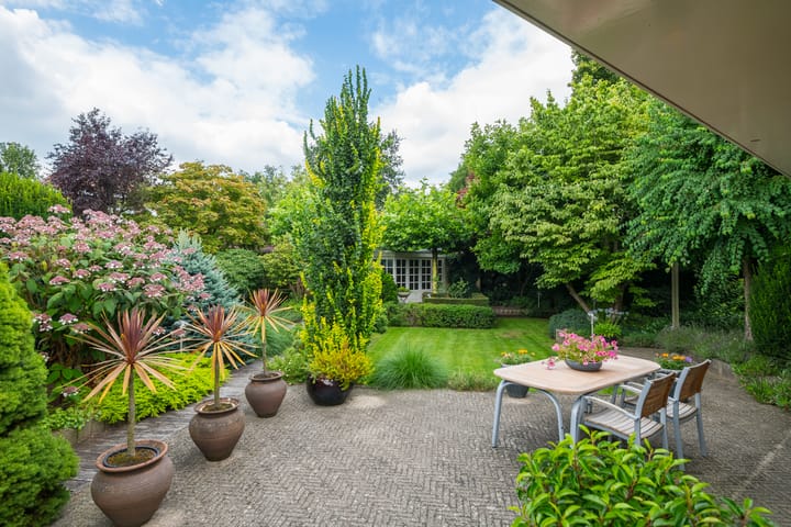 Foto 35 van Gentiaan 6