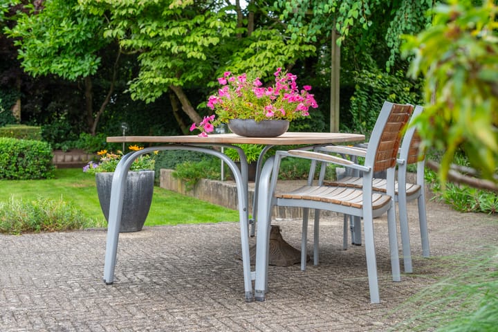 Foto 36 van Gentiaan 6