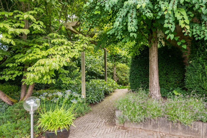 Foto 37 van Gentiaan 6