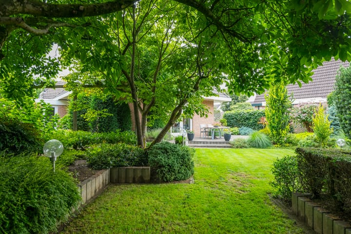 Foto 42 van Gentiaan 6