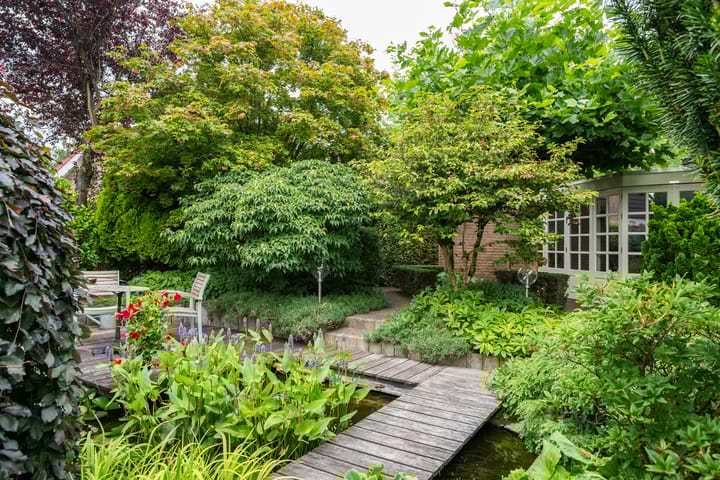 Foto 43 van Gentiaan 6