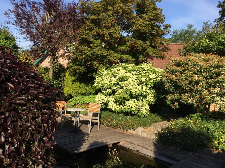 Foto 44 van Gentiaan 6