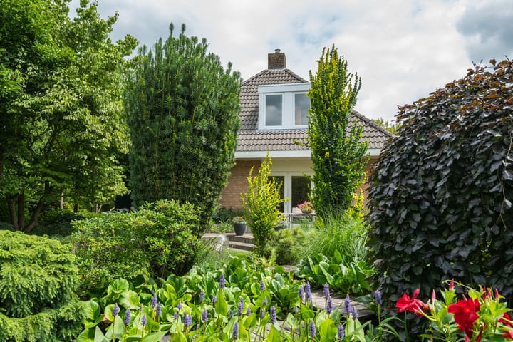 Foto 47 van Gentiaan 6