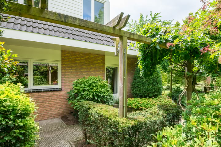 Foto 50 van Gentiaan 6