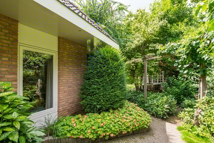 Foto 51 van Gentiaan 6