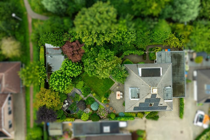 Foto 52 van Gentiaan 6