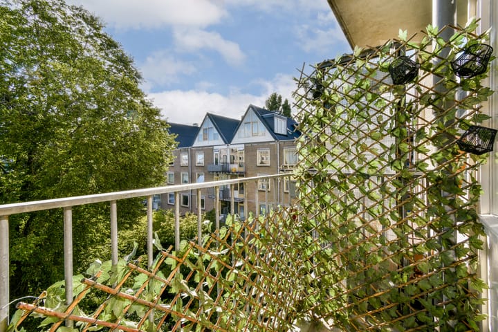 Foto 14 van Iepenweg 23-F