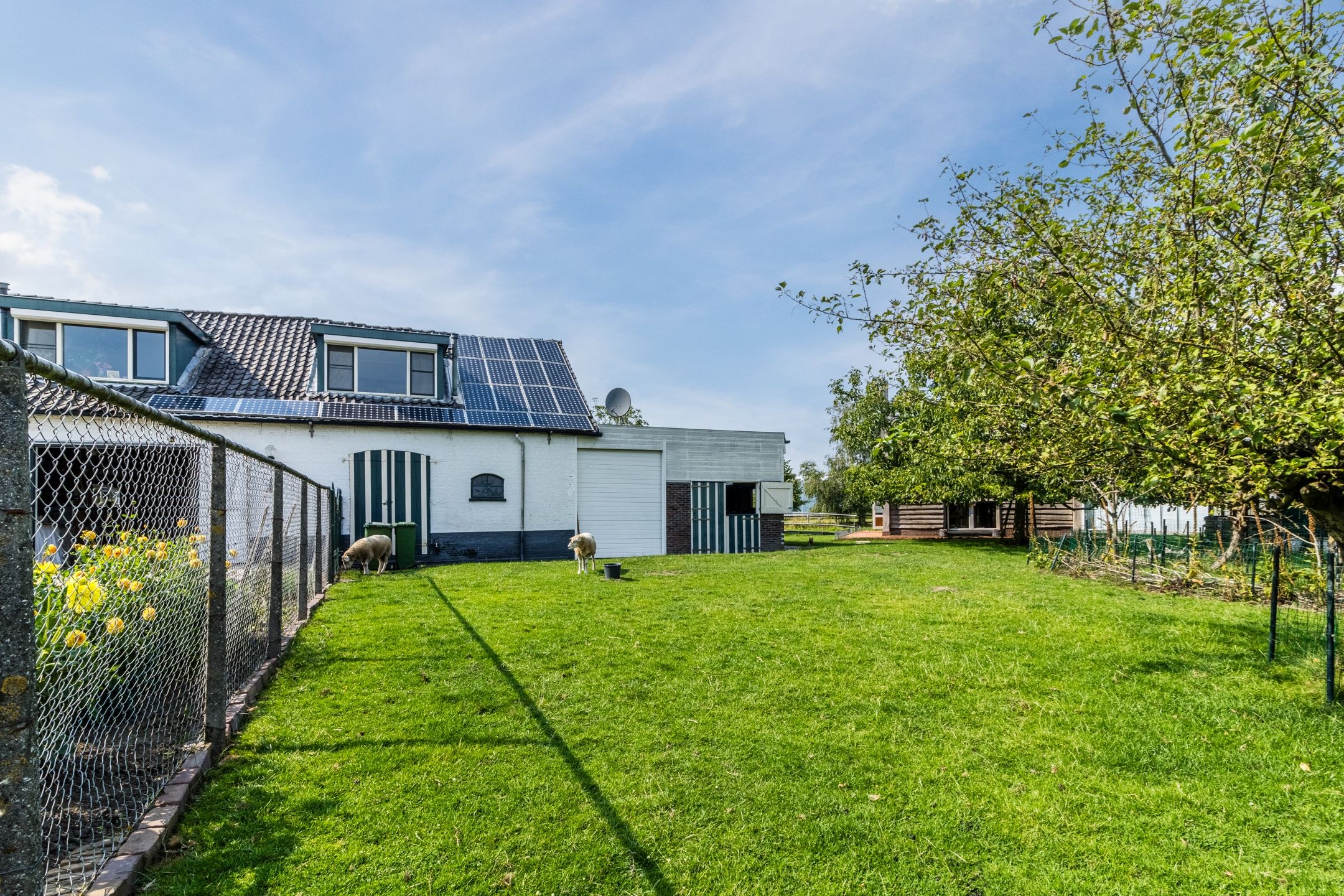 Foto 57 van Knibbelweg 17