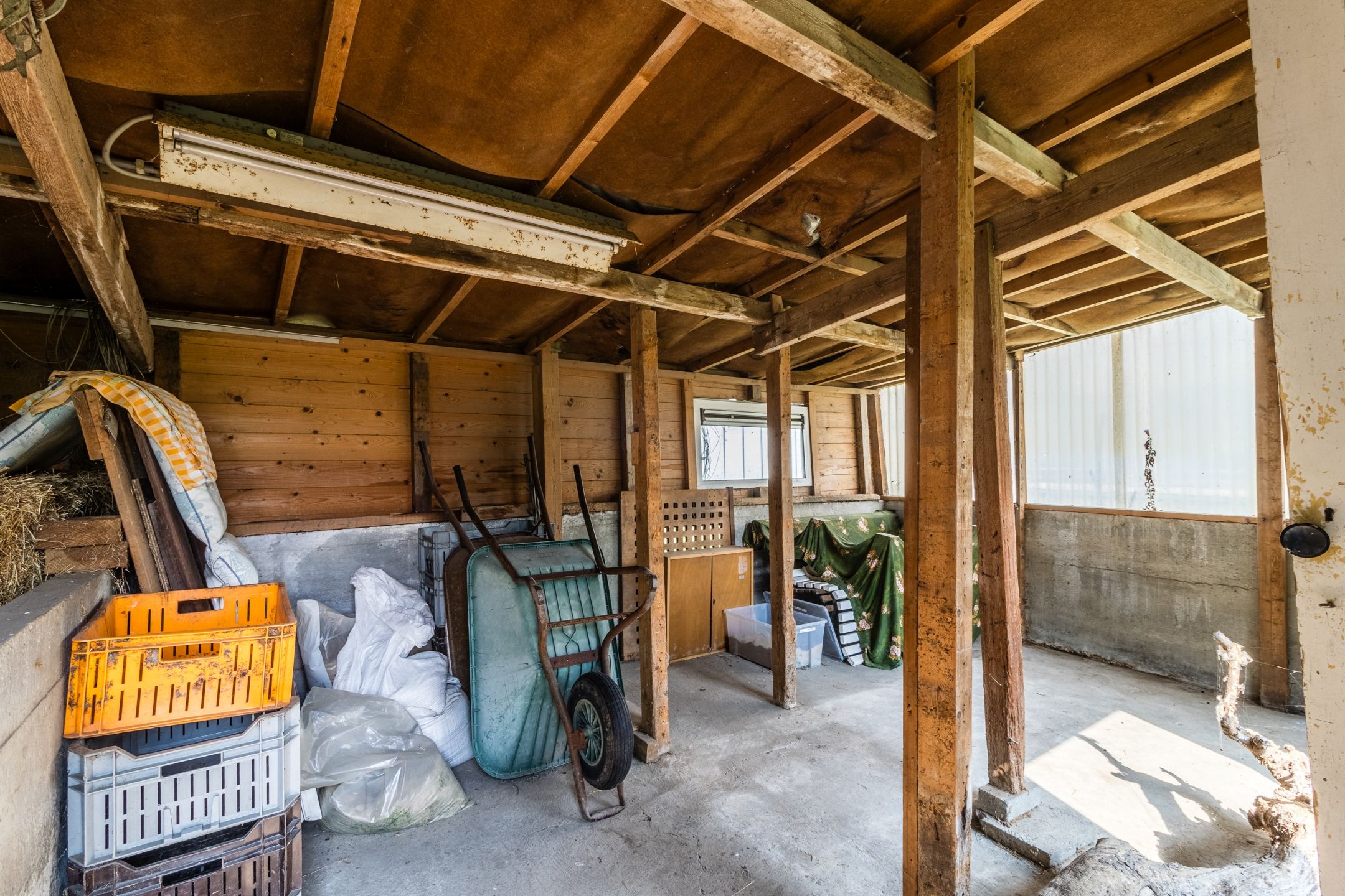 Foto 60 van Knibbelweg 17