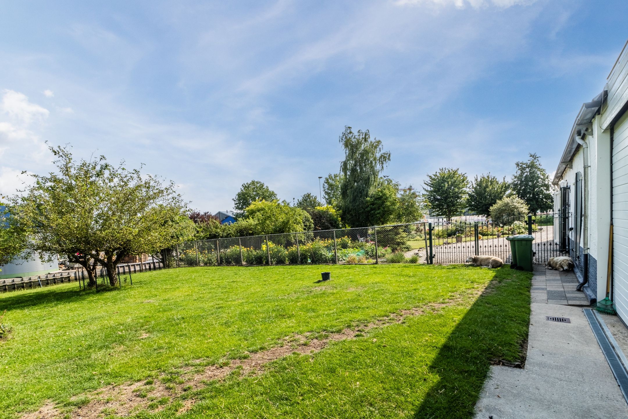 Foto 63 van Knibbelweg 17