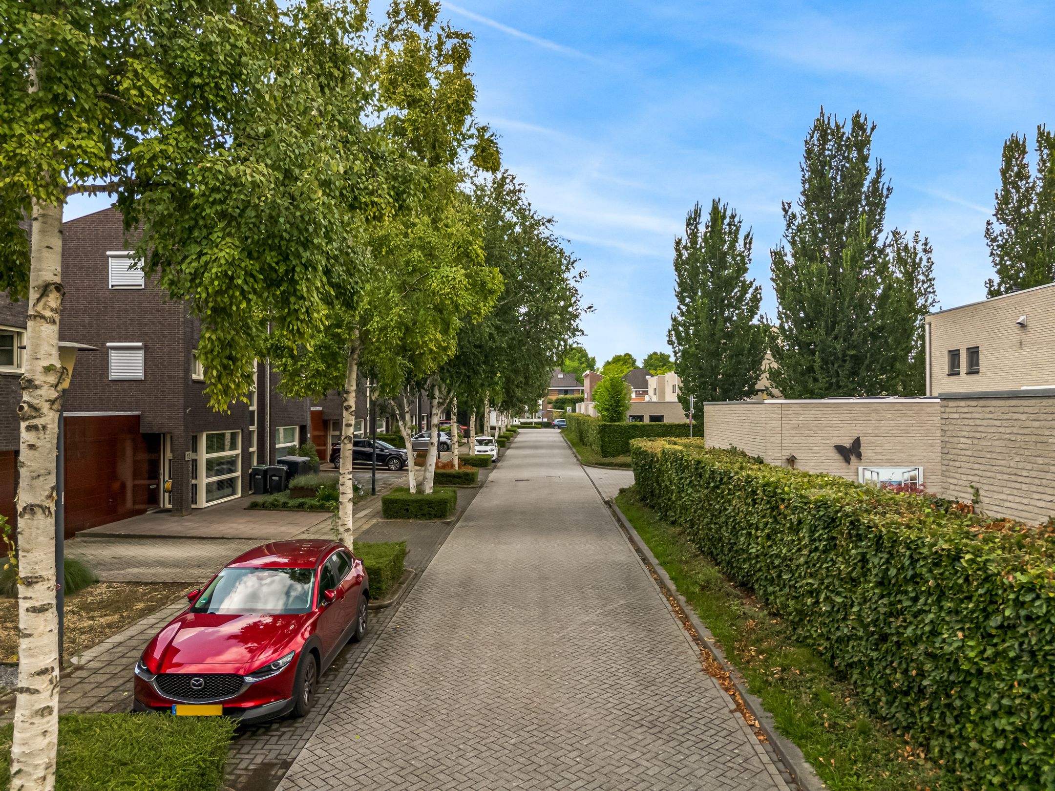 Foto 39 van Lotharingen 15