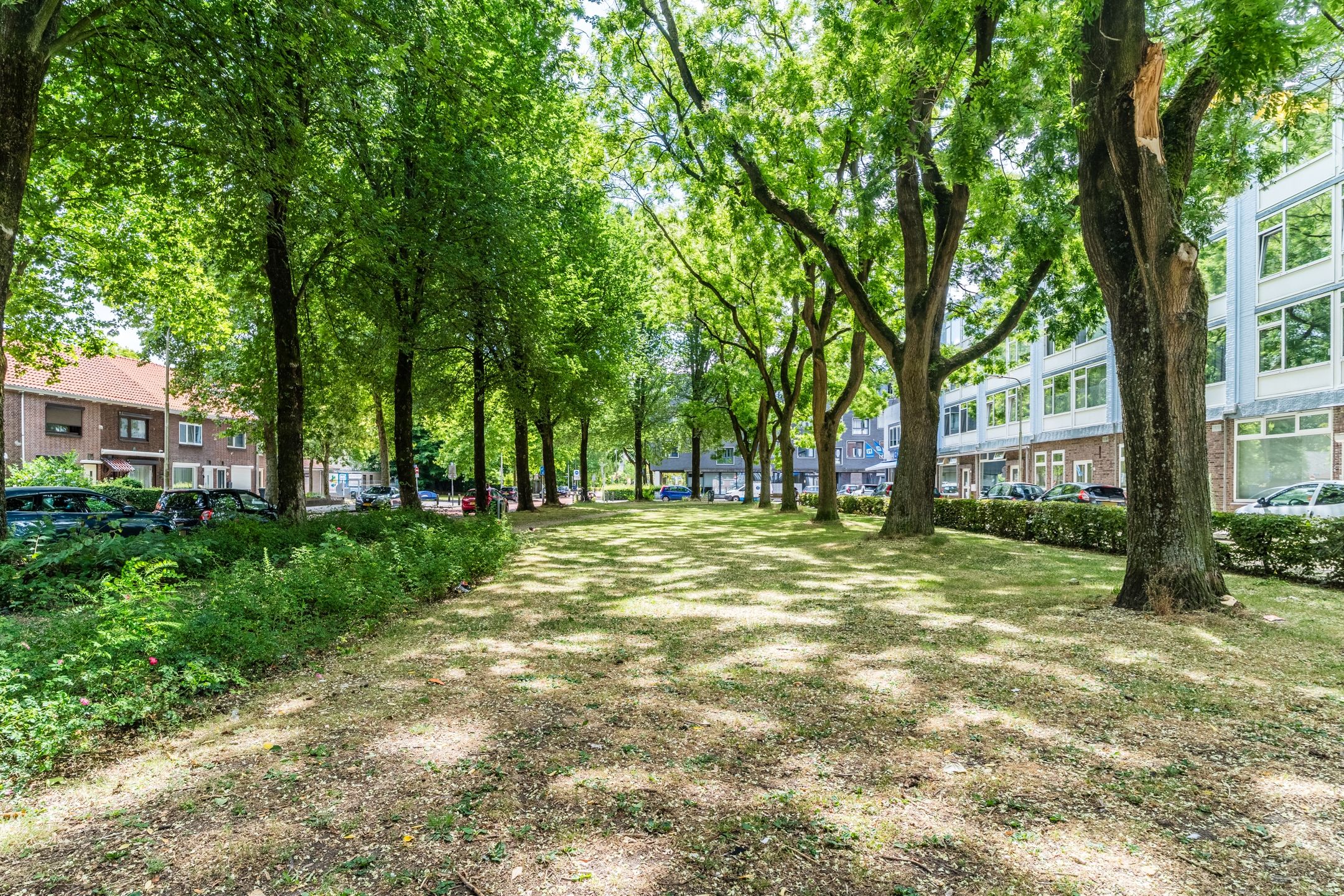 Foto 18 van Trouwlaan 251