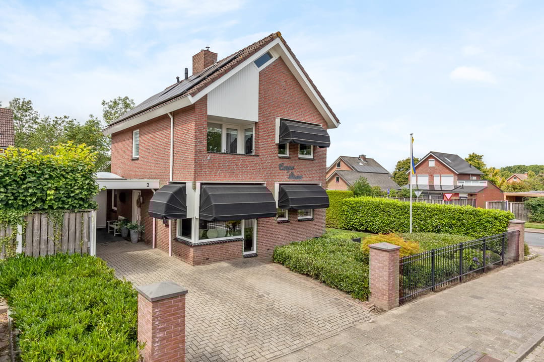 Foto 1 van Engelwortel 2