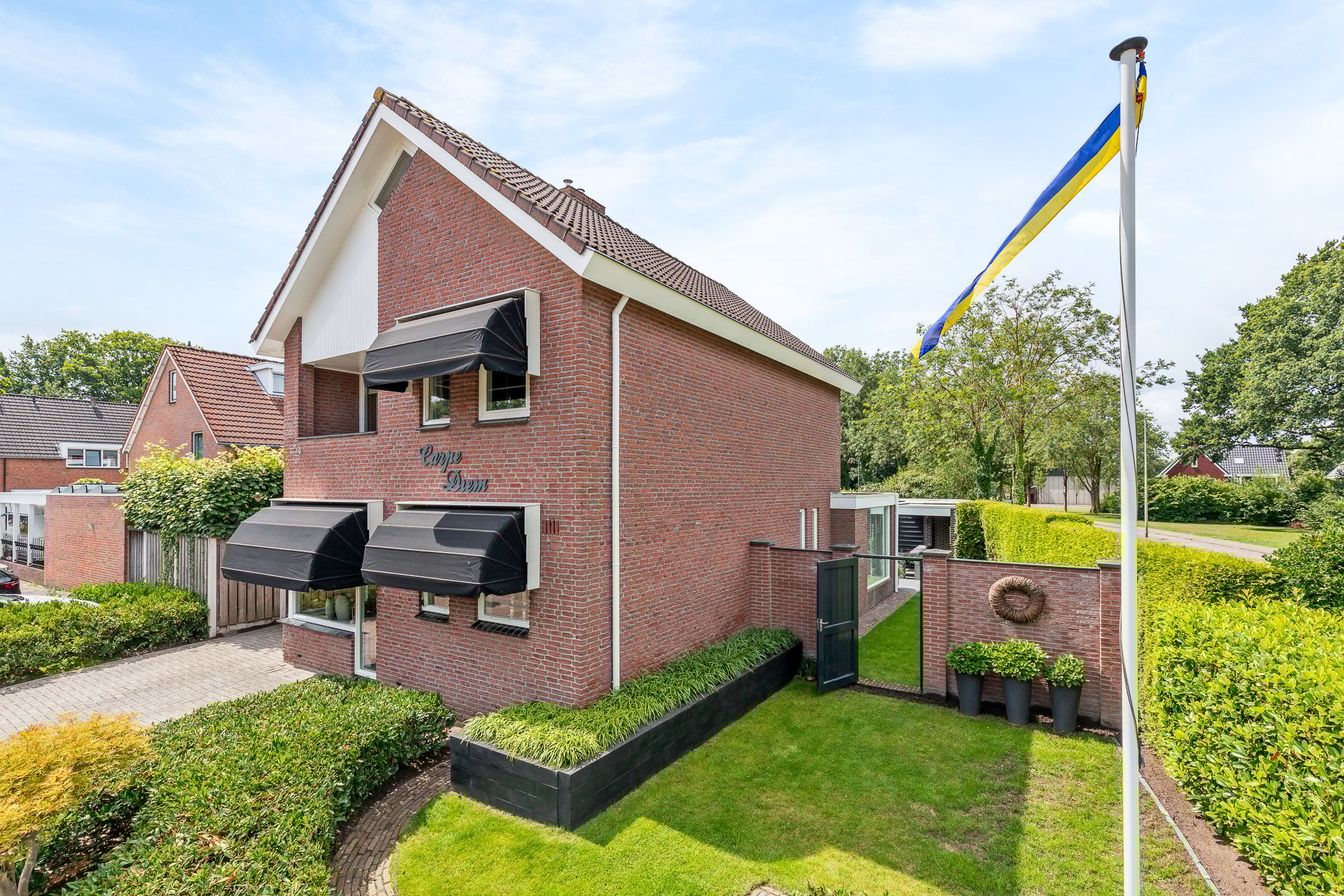 Foto 6 van Engelwortel 2