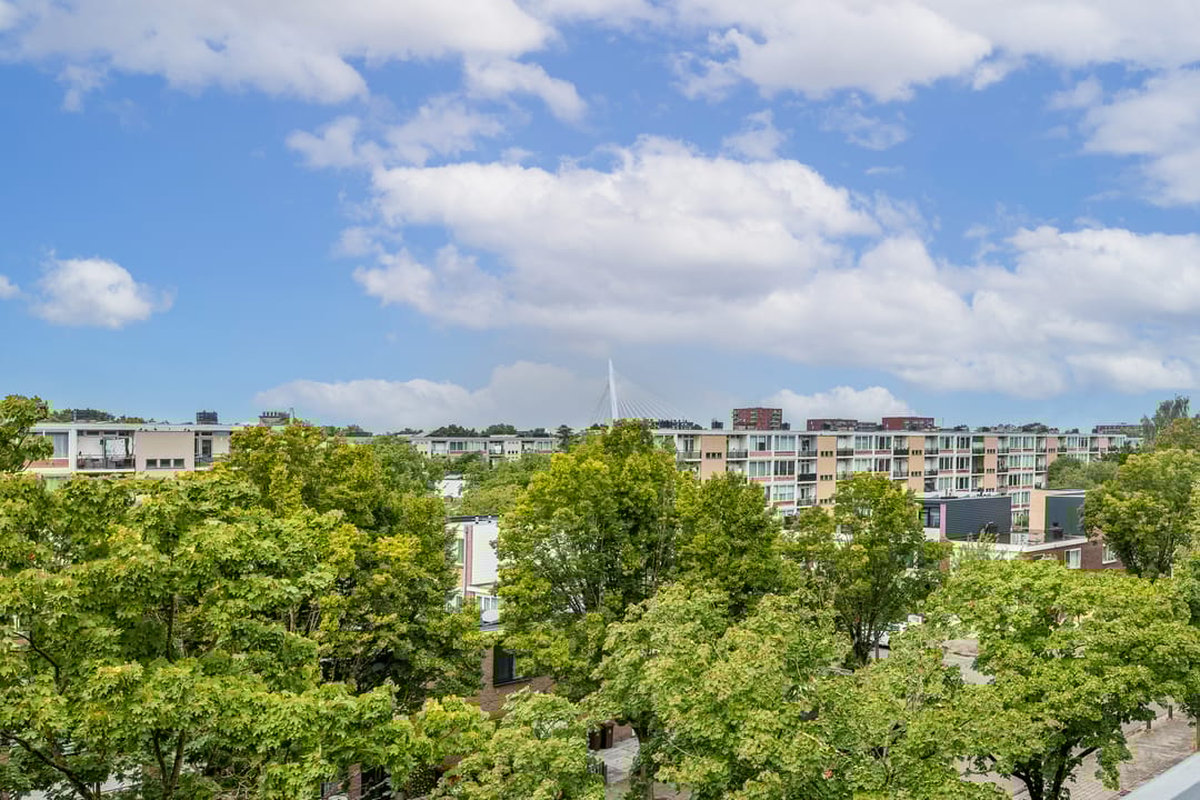 Foto 16 van Livingstonelaan 724