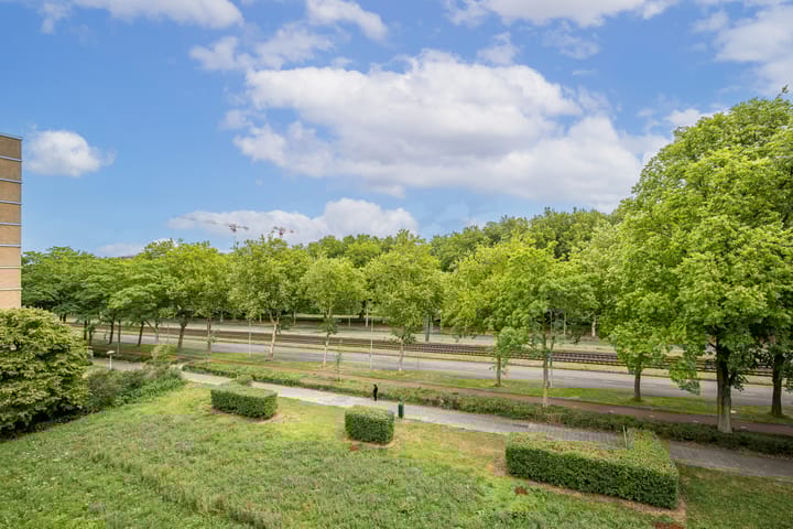 Photo 27 of Livingstonelaan 724