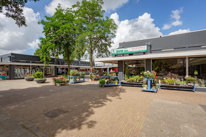 Foto 33 van Lorentzplein 16