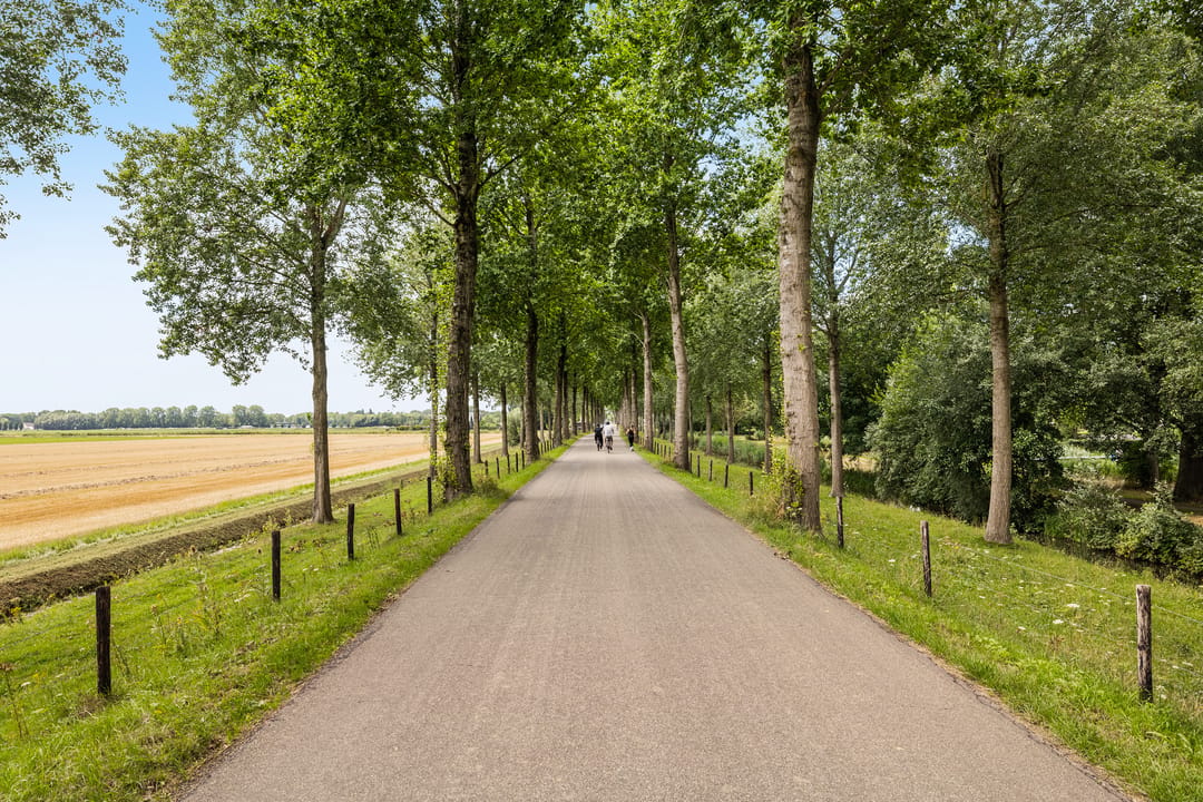 Photo 43 of Abeelstraat 85