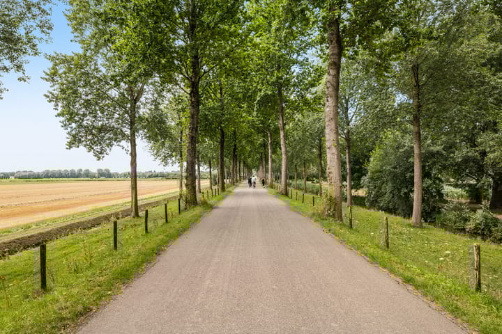 Foto 43 van Abeelstraat 85