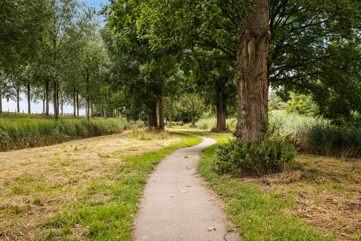 Foto 44 van Abeelstraat 85