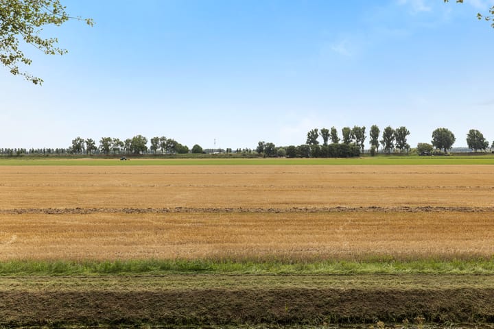 Foto 45 van Abeelstraat 85