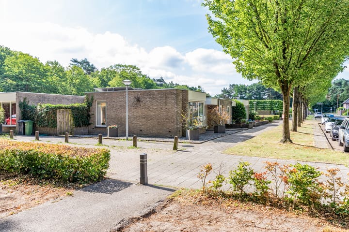 Photo 32 of Varendonk 52