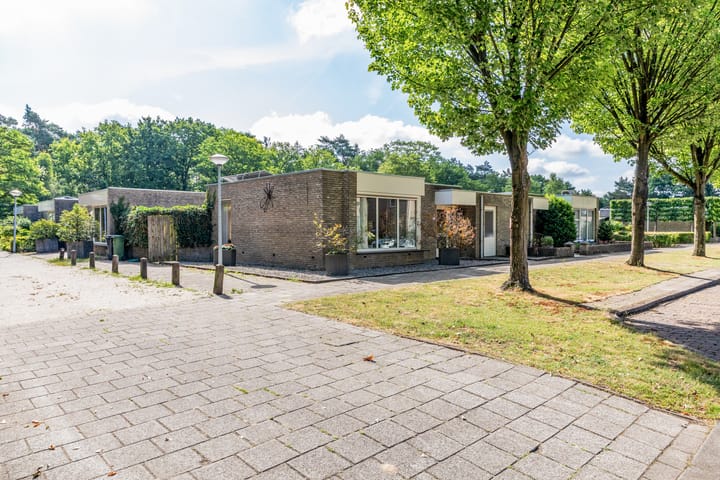 Photo 33 of Varendonk 52