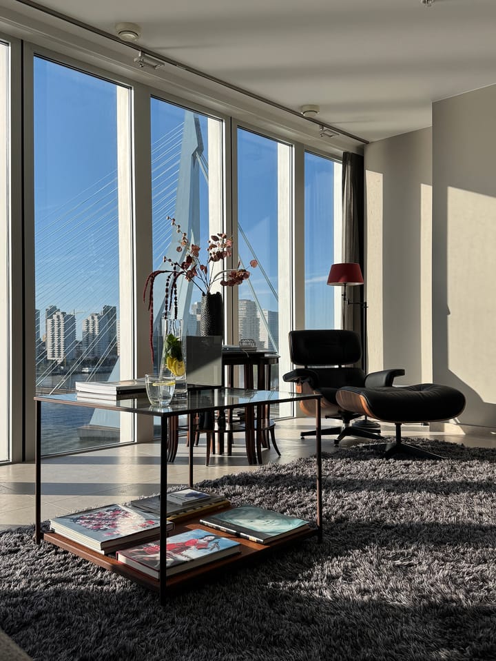 Foto 4 van Wilhelminakade 239