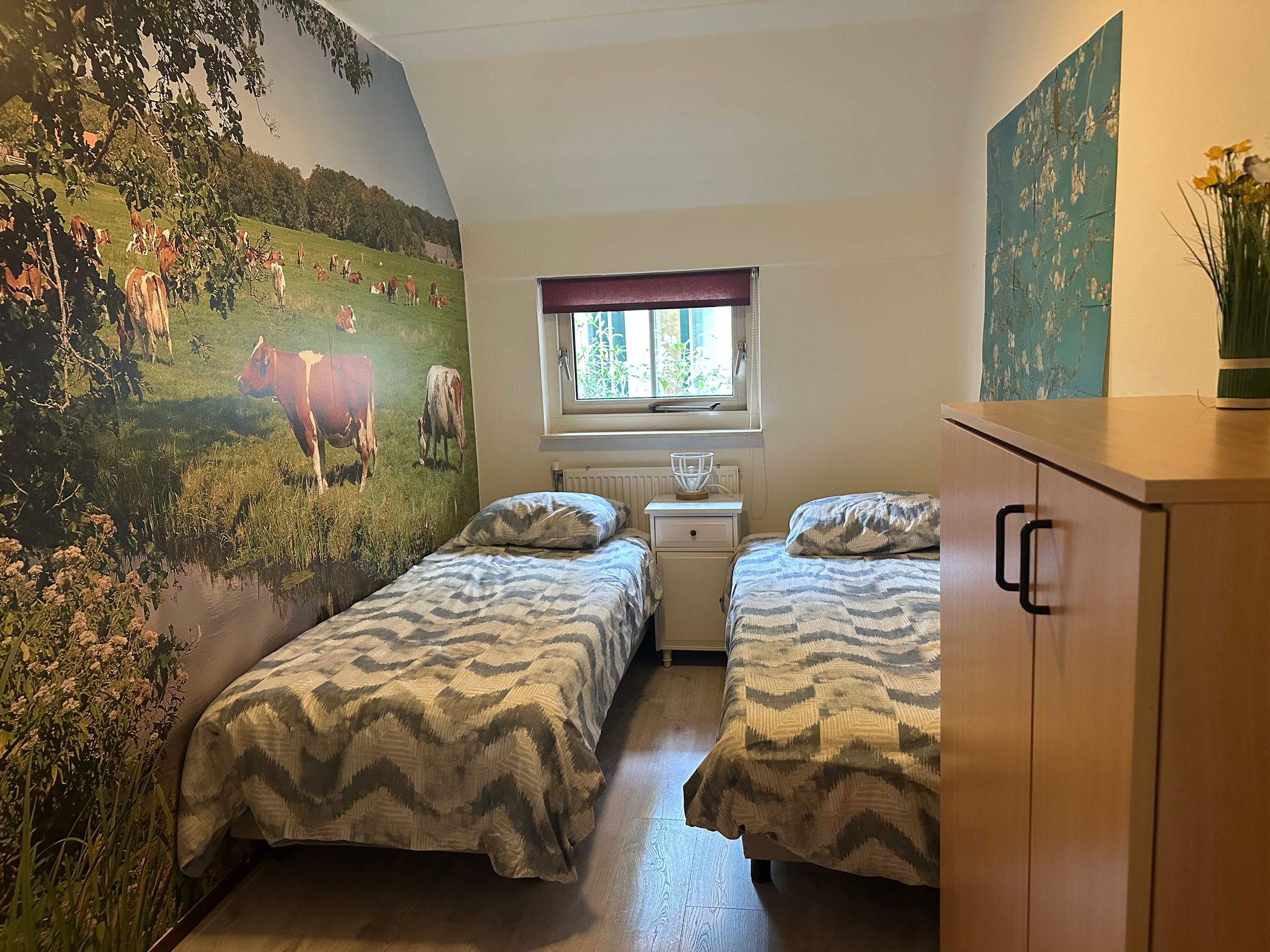 Foto 9 van De Witte Bergen 65