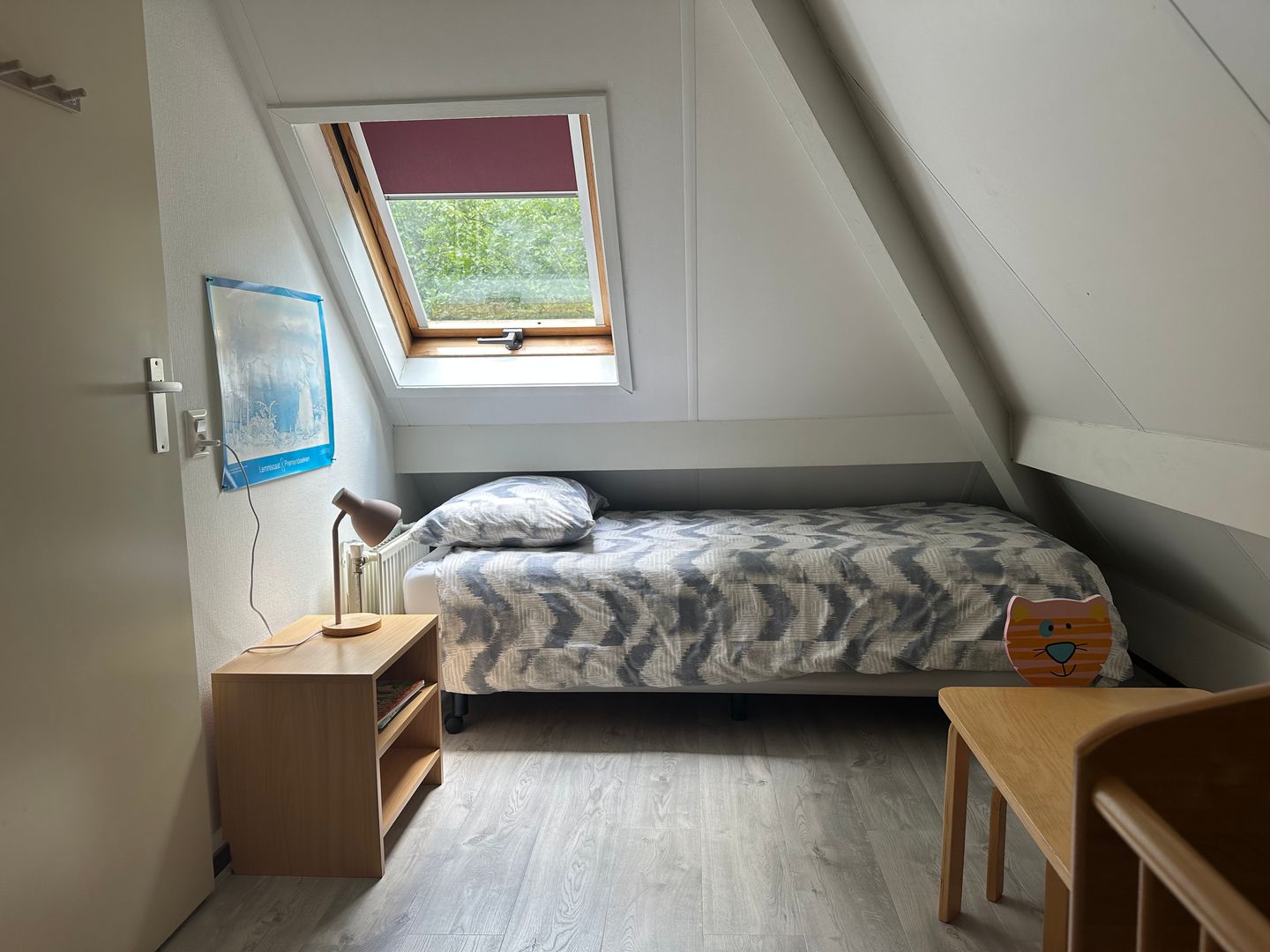 Foto 14 van De Witte Bergen 65