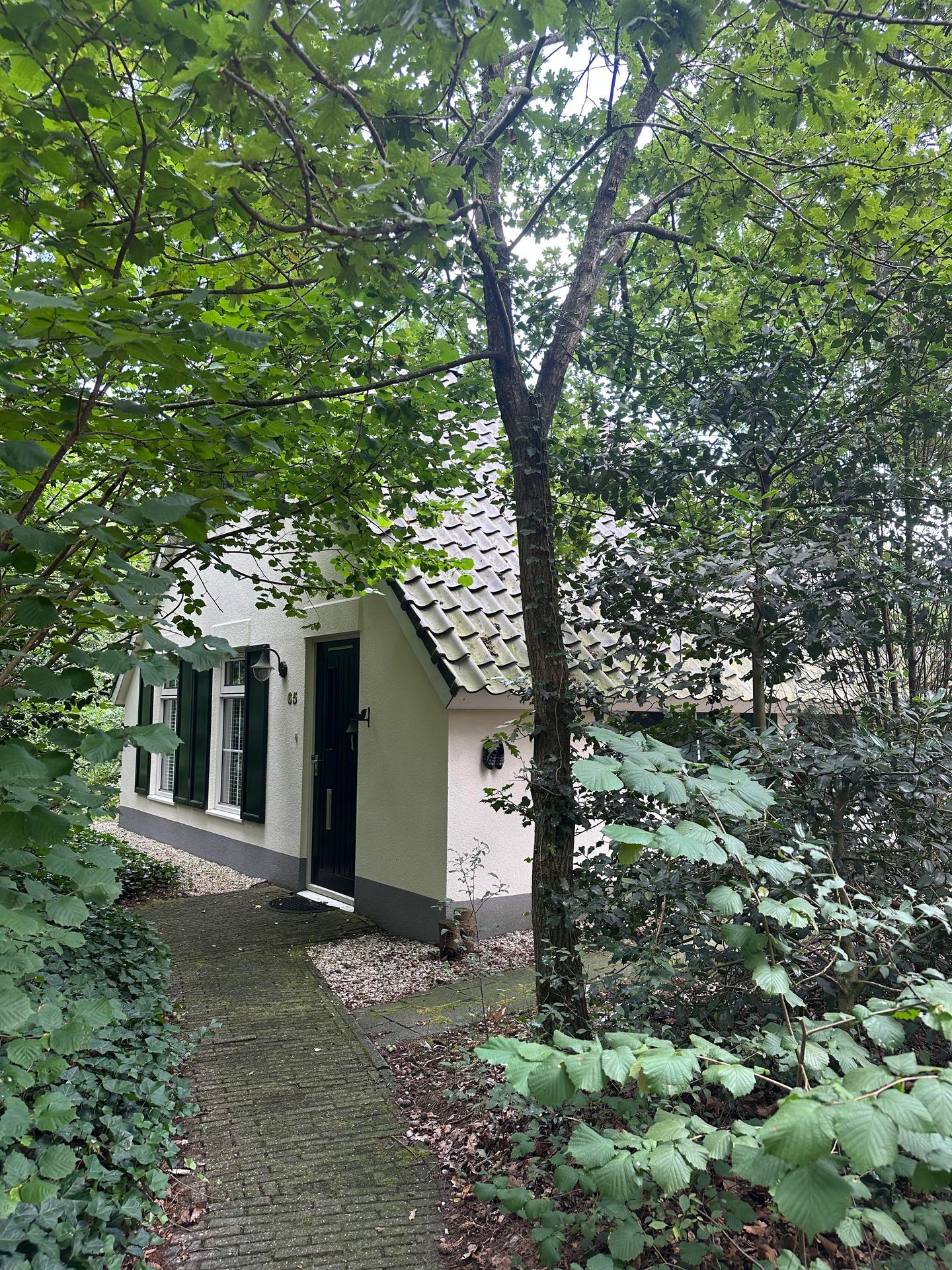 Foto 19 van De Witte Bergen 65