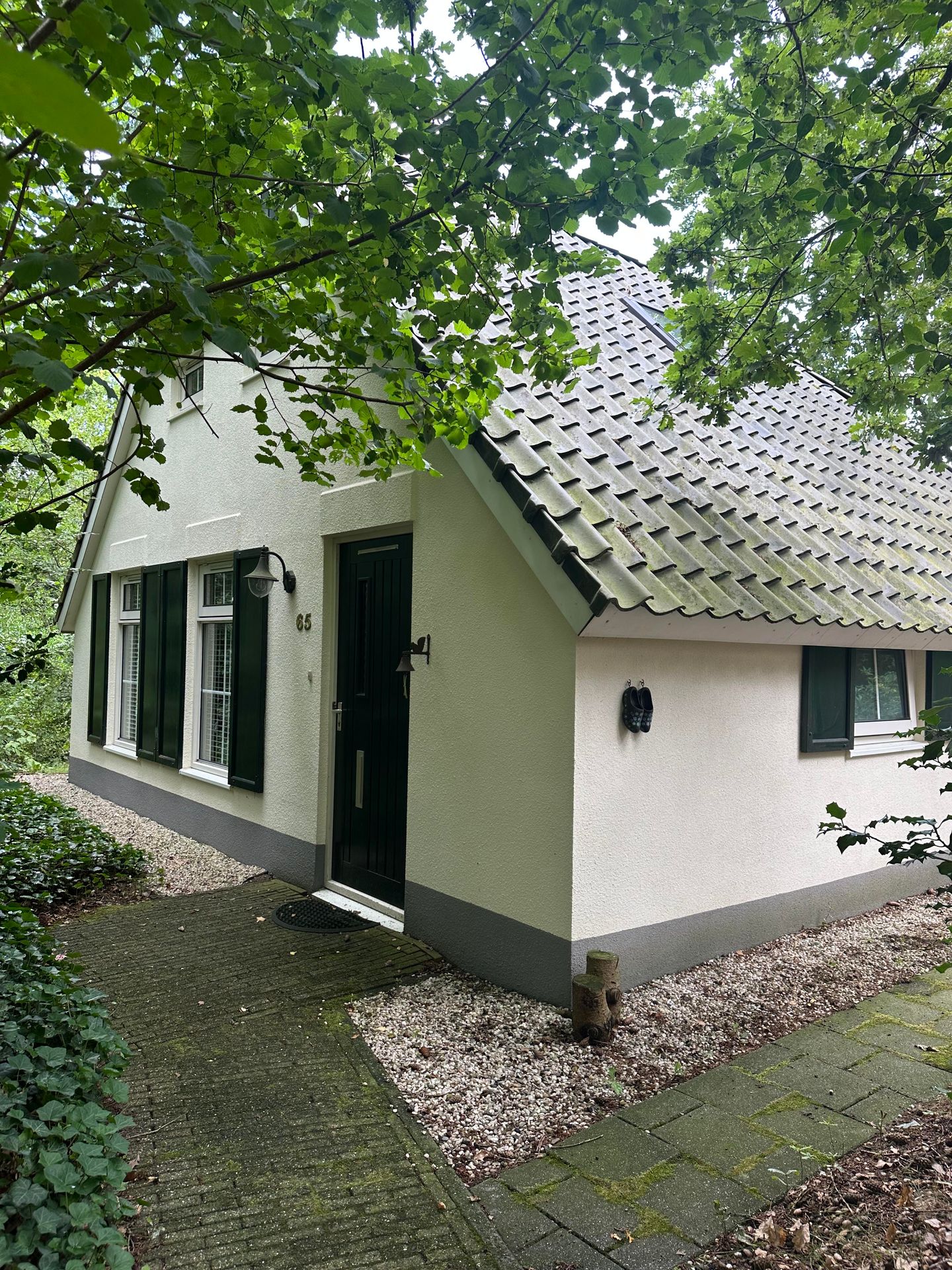 Foto 20 van De Witte Bergen 65