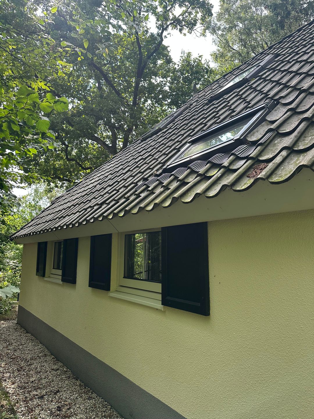 Foto 23 van De Witte Bergen 65