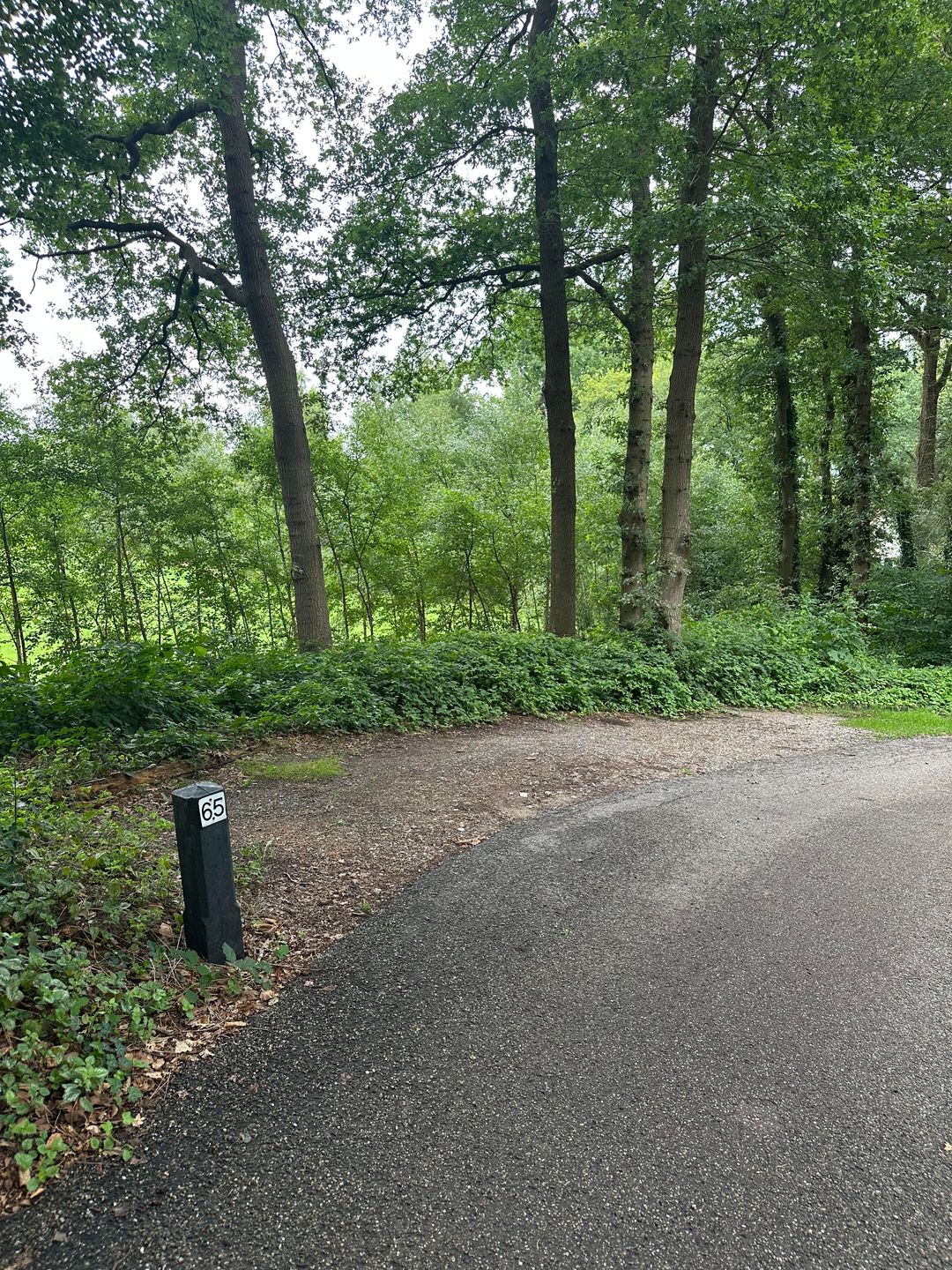 Foto 26 van De Witte Bergen 65