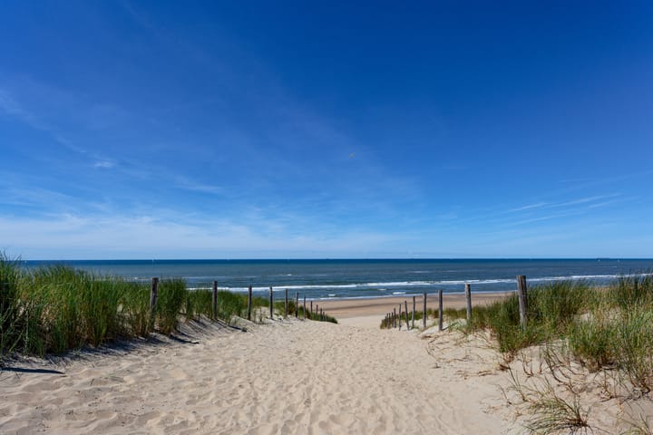 Photo 43 of Hogeweg 46-C