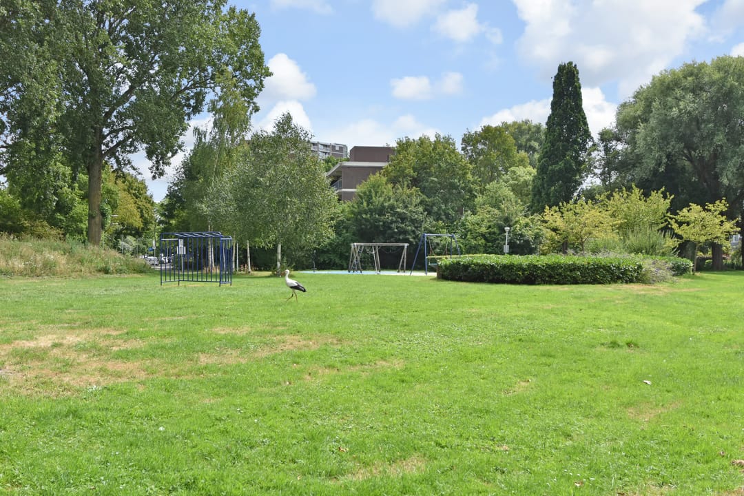 Foto 28 van Populierendreef 217