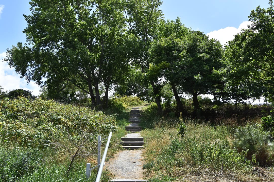 Foto 31 van Bruinbankstraat 29