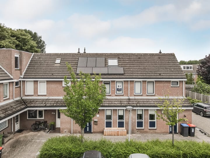 Foto 43 van Botter 42 20