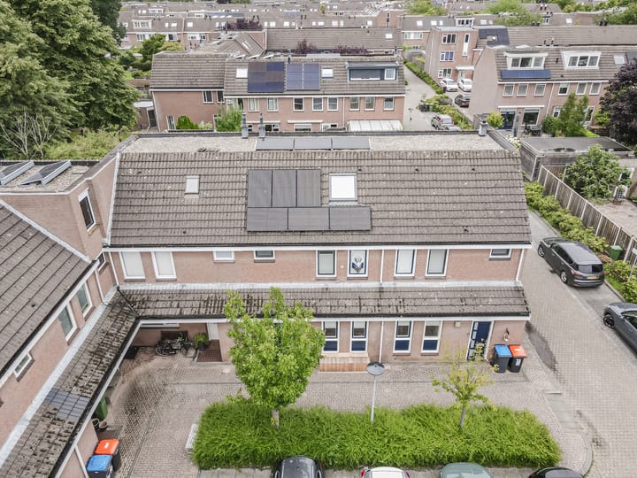 Foto 44 van Botter 42 20