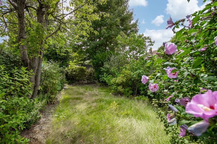 Foto 18 van Burg. Savelbergstraat 6