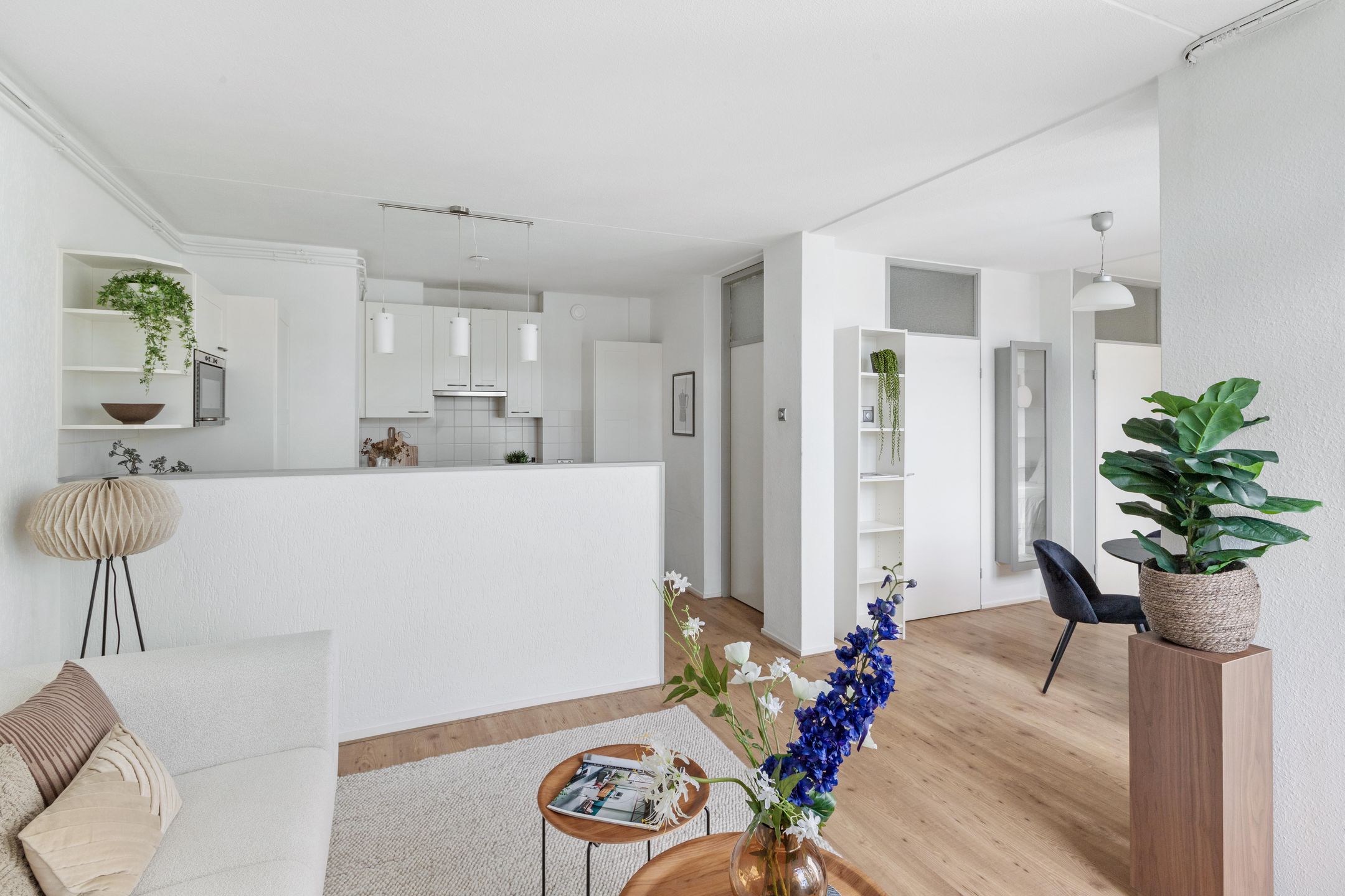 Foto 3 van Westerhoutpark 49