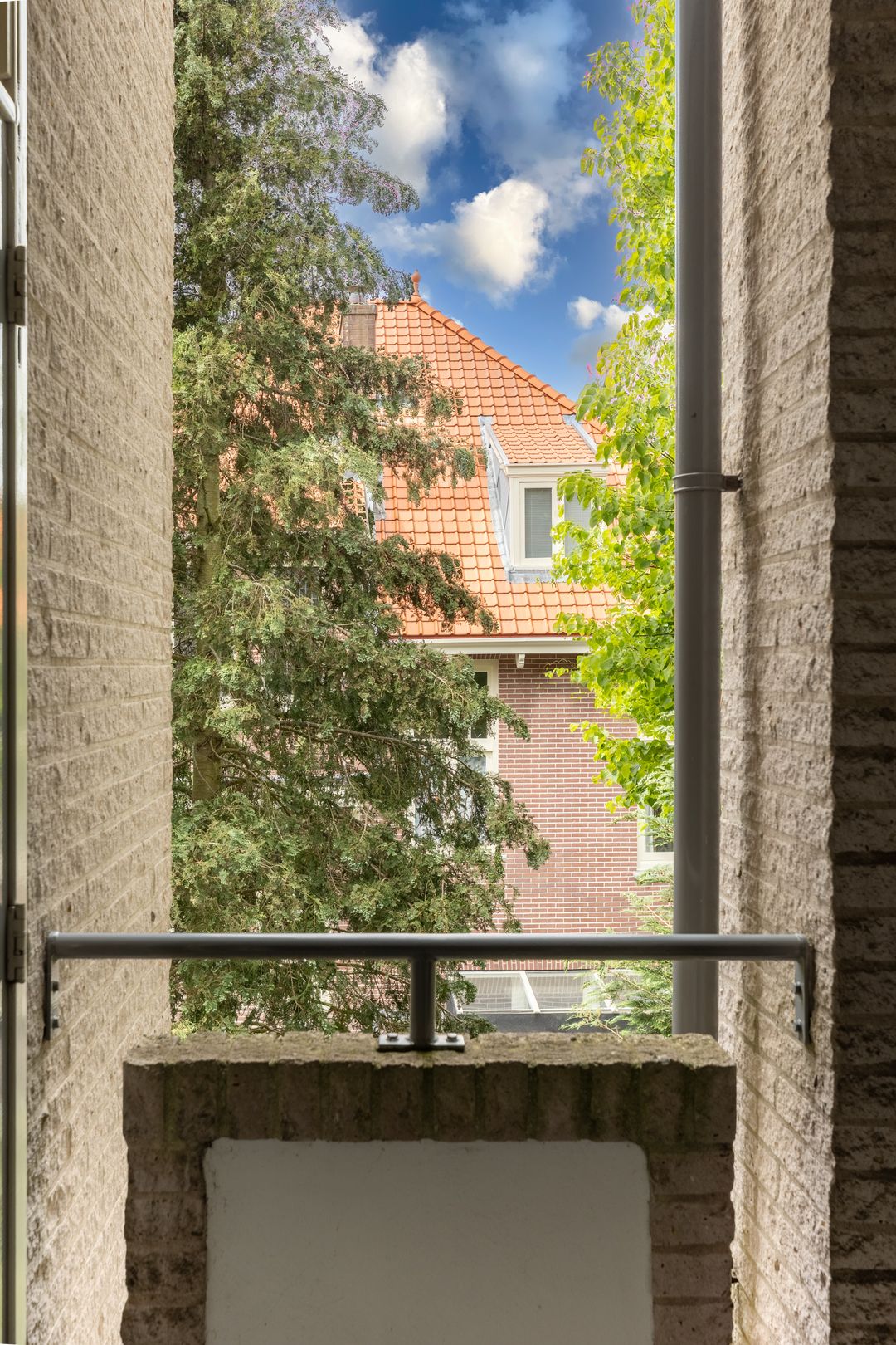 Foto 28 van Westerhoutpark 49