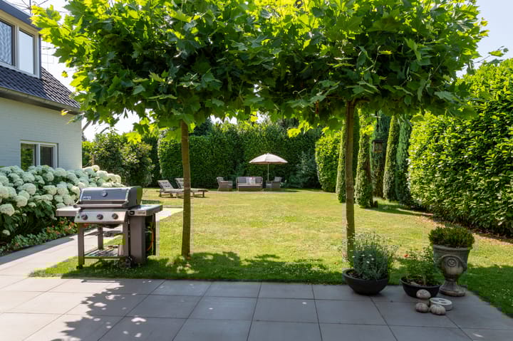 Foto 52 van Schutterslaan 19