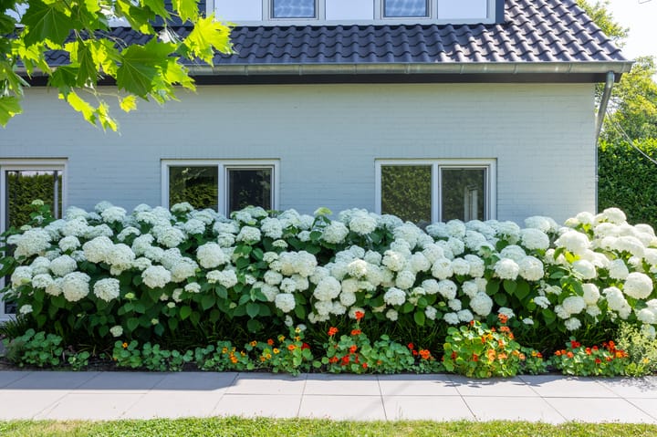 Foto 53 van Schutterslaan 19